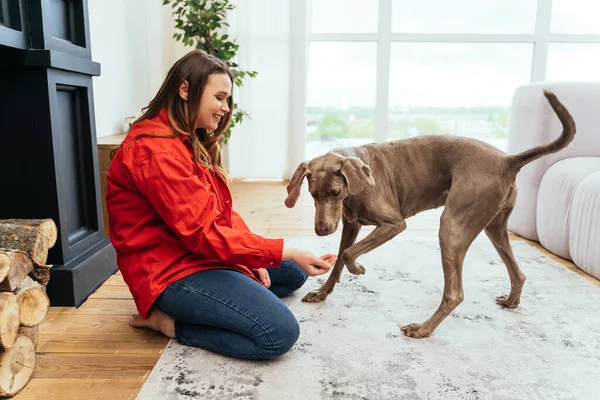 Lifestyle Momente Einer Jungen Frau Hause Frau Spielt Mit Hund — Stockfoto