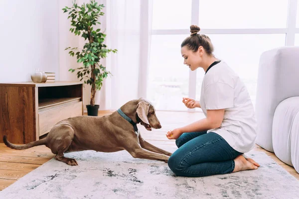 Lifestyle Momente Einer Jungen Frau Hause Frau Spielt Mit Hund — Stockfoto