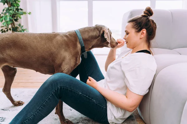 Evdeki Genç Bir Kadının Yaşam Tarzı Oturma Odasında Köpeğiyle Oynayan — Stok fotoğraf