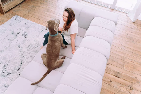 Evdeki Genç Bir Kadının Yaşam Tarzı Oturma Odasında Köpeğiyle Oynayan — Stok fotoğraf