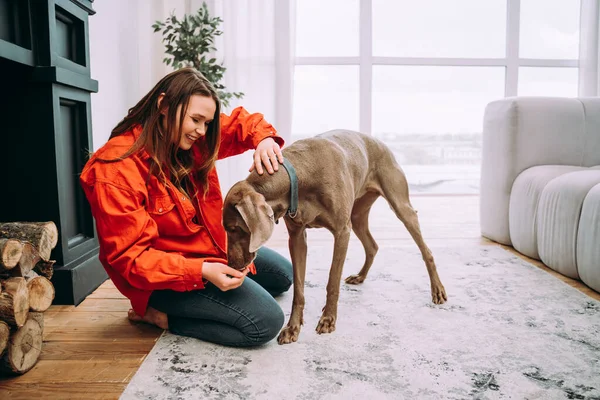 Evdeki Genç Bir Kadının Yaşam Tarzı Oturma Odasında Köpeğiyle Oynayan — Stok fotoğraf