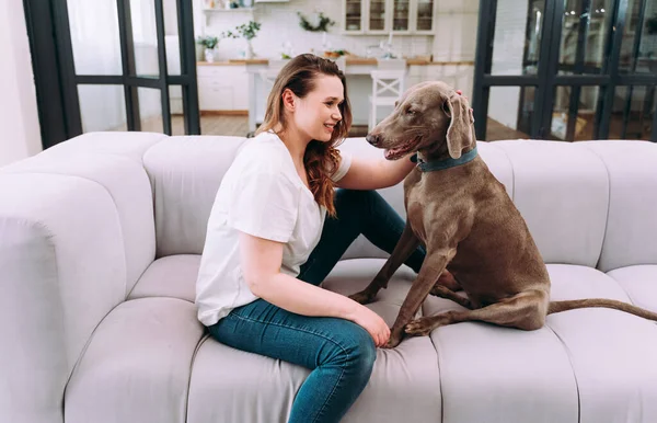 Evdeki Genç Bir Kadının Yaşam Tarzı Oturma Odasında Köpeğiyle Oynayan — Stok fotoğraf