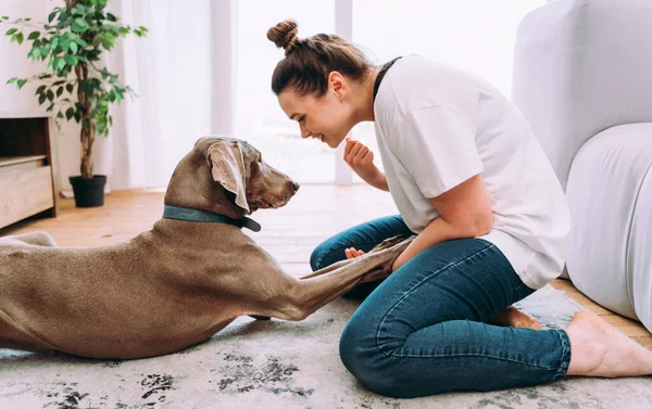 Evdeki Genç Bir Kadının Yaşam Tarzı Oturma Odasında Köpeğiyle Oynayan — Stok fotoğraf