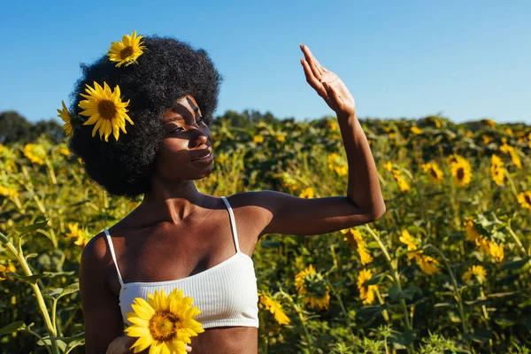 Hermosa Mujer Afro Americana Con Cabello Rizado Afro Campo Girasoles —  Fotos de Stock