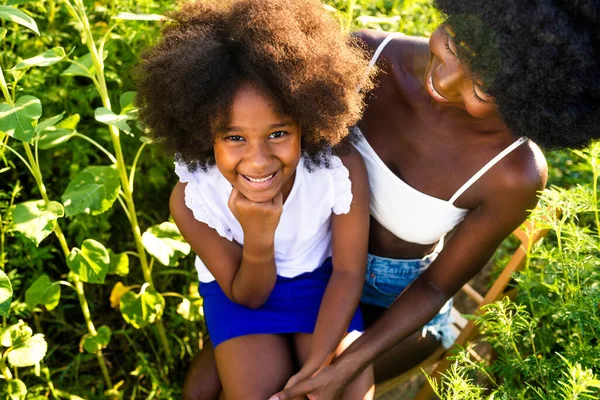 Hermosa Afro Americana Mamá Hija Palying Divertirse Campo Girasoles —  Fotos de Stock