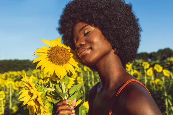 Όμορφη Αφρο Αμερικανική Γυναίκα Σγουρά Μαλλιά Αφρο Στυλ Ένα Πεδίο — Φωτογραφία Αρχείου