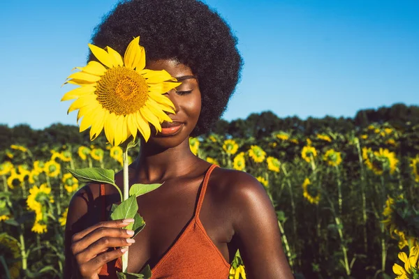 Gyönyörű Afro Amerikai Göndör Afro Stílusú Haj Napraforgó Mező — Stock Fotó