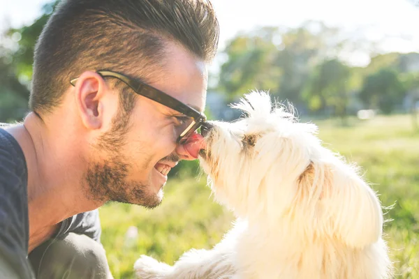 Amor e cães — Fotografia de Stock