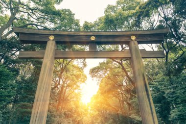 Yoyogi Parkı