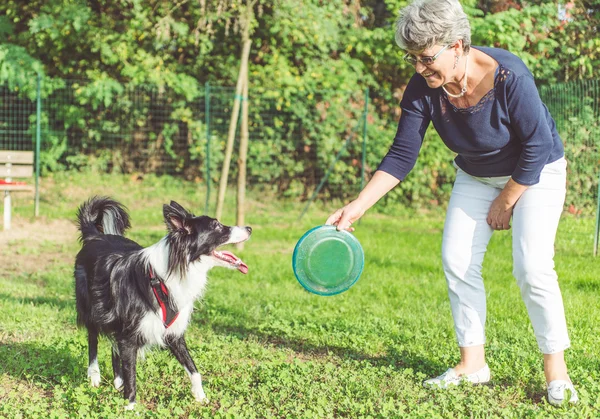 Playing with the dog — Stock Photo, Image