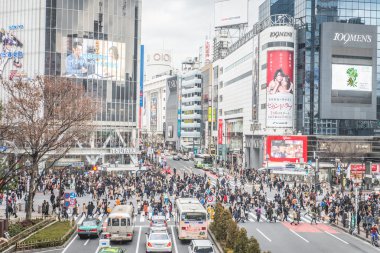 Tokyo, Shibuya bölgesi