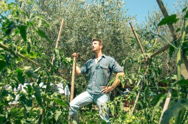 onun domates alanında çalışan adam