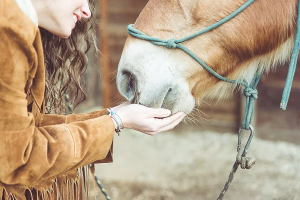 Mujer acariciando su caballo —  Fotos de Stock