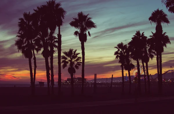 Sunset colors with palms silhouettes — Stock Photo, Image