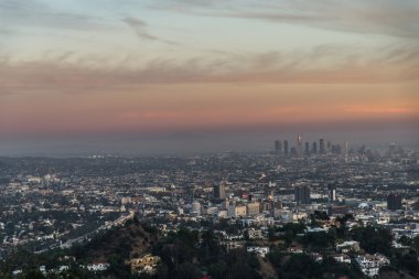 Los Angeles Cityscape