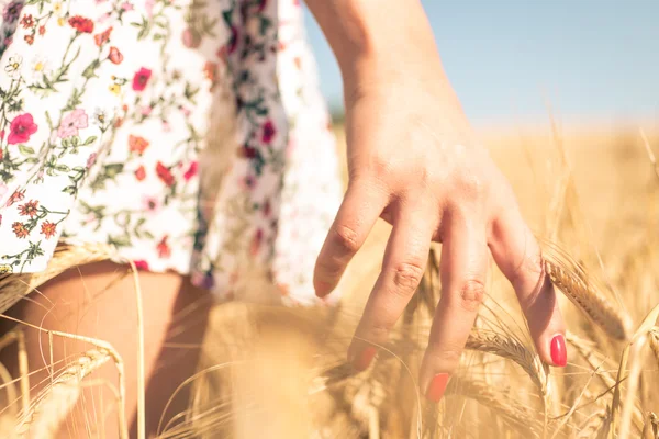 Крупним планом на руці жінки торкається пшениці — стокове фото