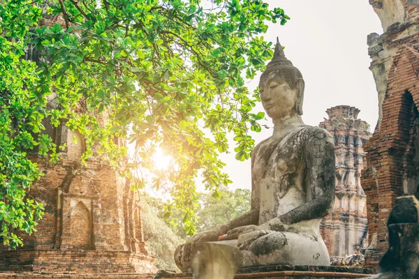 Estátua de buddha em ayutthaya — Fotografia de Stock