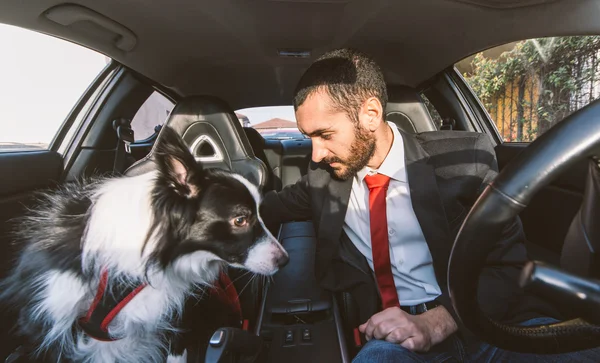 Motywować mężczyzna swojego psa przed psiej konkurencji — Zdjęcie stockowe