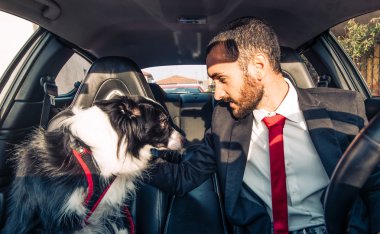 Adam köpeğini köpek rekabet önce motive