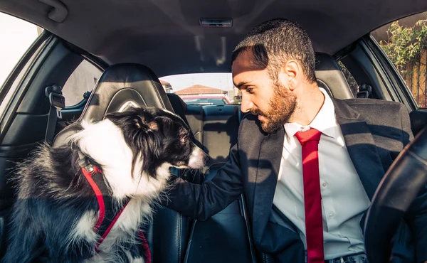 Чоловік мотивує свого собаку перед змаганням з собаки — стокове фото