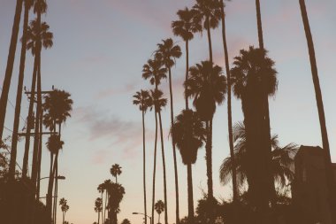 Beverly hills avuç içi siluet