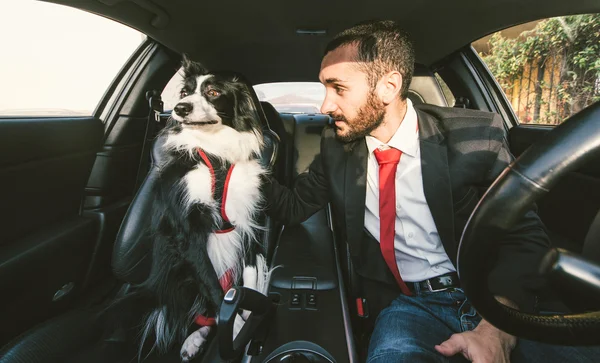 Homem motivar seu cão antes da competição canina — Fotografia de Stock