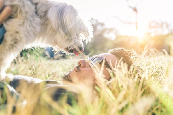 Man spelar med sin hund — Stockfoto