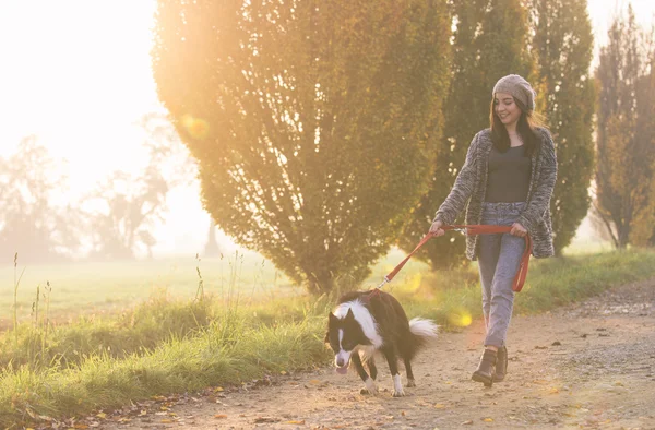 公園で彼女のボーダーコリー犬と一緒に歩いている幸せな女性 — ストック写真