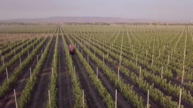 Takvim tarihinde kırmızı işaretli son tarih kavramı