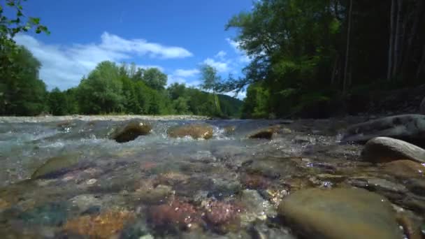 Naturen grov River i skogen från låg vinkel skott. Fjällkristallklart vatten från River Flowing. Vacker utsikt. Blå himmel med moln. Lugn i vild natur. Vatten är livets källa på jorden. — Stockvideo