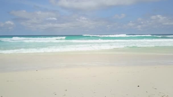 Hawaii plajı. Cennet adası. Büyük dalgalar. Kristal berrak turkuaz su. Kumsal. Kamera suya doğru hareket ediyor. Zenginler ve ünlüler için mükemmel bir yer. Pasifik Okyanusu. Mavi okyanus beyaz — Stok video