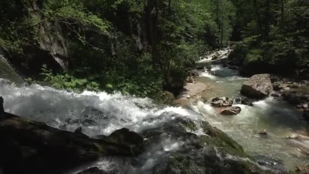 瀑布溪流从山上滑落到森林中的河里.山河。全景。宽手柄射击。顶部视图。热带的高山丛林。热带森林的瀑布。绿树 — 图库视频影像