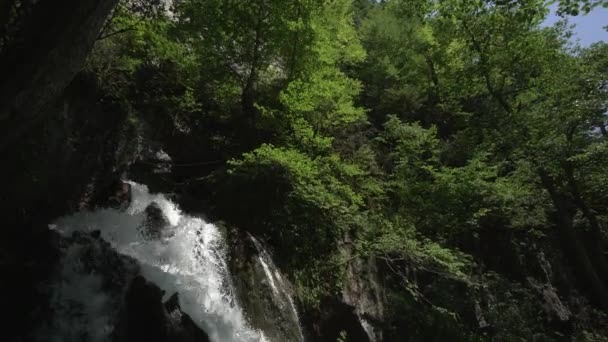 Uma grande cascata na floresta. Uma poderosa corrente de água atravessa as pedras. Árvores caídas. Elemento. Conceito de natureza — Vídeo de Stock