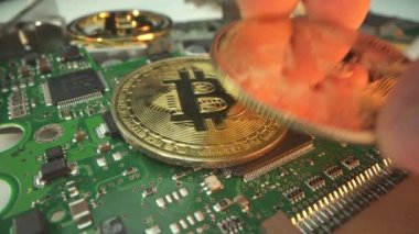 Elektronik çipte altın Bitcoin. Erkek, yeni bir kripto sikkeyi yüzeye koydu. İş ve ticaret kavramı.