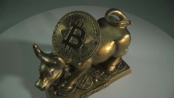 Bitcoin pièce d'or. taureau en métal comme symbole de 2021 année. Pièce froide sur le dessus. Pièce numérique tournant autour avec réflexion. Technologie blockchain. Le taureau de Wall Street. Le trading. Concept de financement. — Video