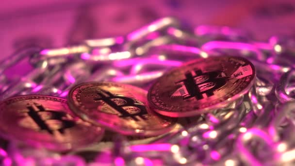 Tre popolare moneta d'oro Bitcoin ruotare sulla superficie circondata da catena d'argento. Luce rosa. Tecnologia Blockchain. Un po 'di monete. Soldi digitali. Internet virtuale criptovaluta mondiale e — Video Stock