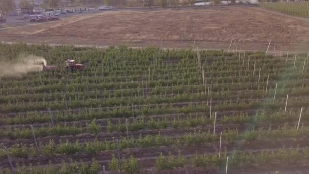 Jabłoń opryskująca traktorem. Nagranie z lotu ptaka na Tractor Spraying Orchard pokryte krwotocznymi siatkami ochronnymi wiosną. Rolnik jazdy ciągnika przez sad jabłkowy. — Wideo stockowe