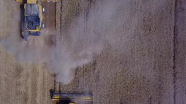 Güneşli bir yaz gününde, Blue Sky 'ın altında 