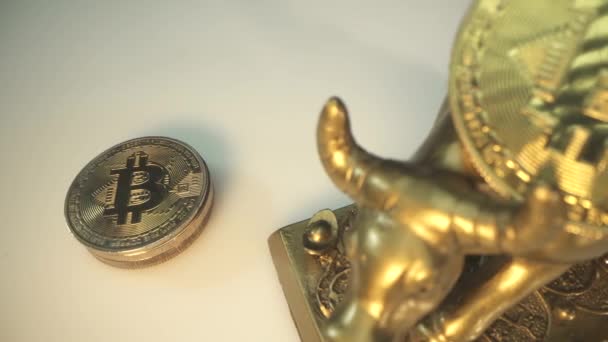 Arany fém bika, mint szimbólum 2021 év és sok digitális crypto érmék Bitcoin a fehér felületen. A férfi tett még egy arany bitcoin BTC-t. Lassú panoráma. blockchain technológia. Digitális pénz — Stock videók