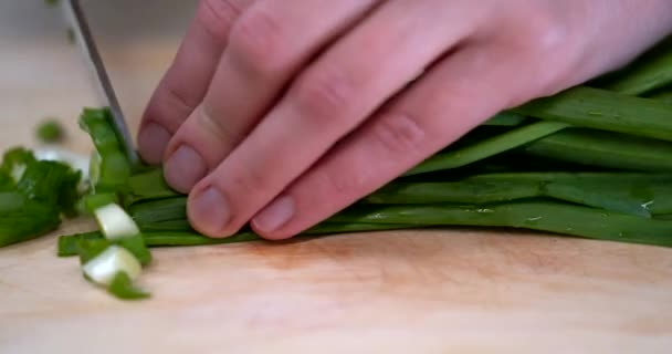 Moer cebolas verdes frescas em uma placa de corte de madeira no closeup cozinha. Mão feminina com manicure e uma faca. Colheita de cebola no jardim raiz. Mão do agricultor homem colhendo cebola fresca crescente — Vídeo de Stock
