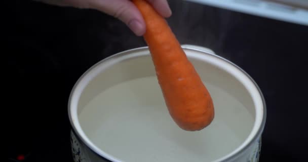 Морковь и картофель в кипящей воде мешают кастрюлю овощного супа близко. В кастрюле кипит минестронский суп. Вегетарианское здоровое питание на ужин. Готовая овощная еда на обед, горячая и — стоковое видео