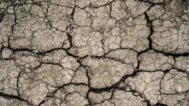 Çamur zemini kurumuş. Çok sıcak yaz.