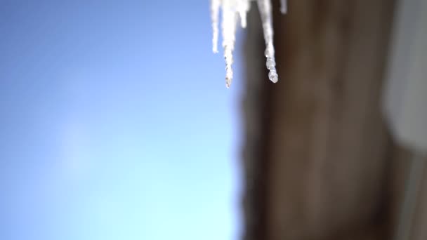 Icicles espreitam no telhado da casa — Vídeo de Stock