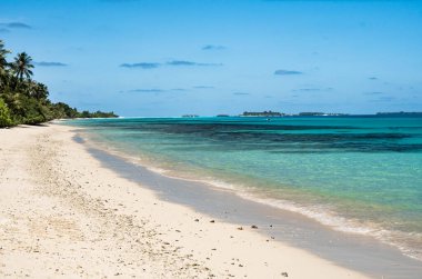 Tropik Plaj ve Bali Palmiyeleri. Ada gezisi. Beyaz Kum Sahil Tatili, Karayip Turkuvaz Deniz Suyu, Palmiye Ağaçları Rahatlama Alanı, Punta Cana, Dominik Cumhuriyeti, sahil kıyısı