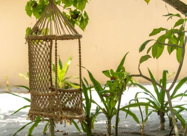 Egzotik beyaz kumsalda boş ahşap salıncak sonsuz okyanusa bakıyor. Huzurlu turkuaz denize bakan kumlu bir sahilde güzel boş salıncaklar. Maldivlerde Yaz