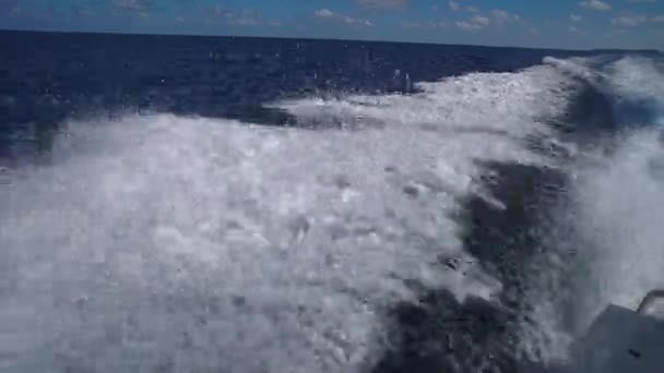 Navio de cruzeiro acordar oceano indiano. Barco mover muito rápido com muitos salpicos. Enorme oceano aberto. Destino férias viagens mar oceano tropical. Azul bonito Oceano Caribe rastro de água atrás de grande cruzeiro — Vídeo de Stock