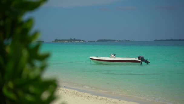 Wyspa na Malediwach - łódź pływająca nad krystalicznie czystą wodą morską. w pobliżu plaży. Słoneczny dzień w raju. Wiele wyspiarskich kurortów na poziomie. — Wideo stockowe