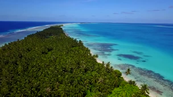 Blaues Meer Bahamas, Sand am Strand, exotische Palmen, weißer Sand, weißer Sandstrand Blick auf den Strand im karibischen türkisfarbenen Meerwasser. Paradise Island, ein sehr schöner Strand mit weißem Sand. — Stockvideo