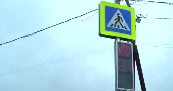 Close-up voetgangers verkeerslicht. Twee verkeerslichten worden rood en groen. Aftellen seconden. Het stadsleven in real time. Stadsstraten overdag. Verkeerslichten met camera op straat van rood naar — Stockvideo