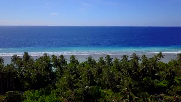 Błękitny ocean biały piasek plaża natura tropikalne palmy Wyspa. Morze i niebo Karaibów. Wyspa krajobrazu. Palmy turkusowe morze tło Ocean Atlantycki. Strzał drona. Paradise spokojne miejsce na wspaniałe wakacje — Wideo stockowe